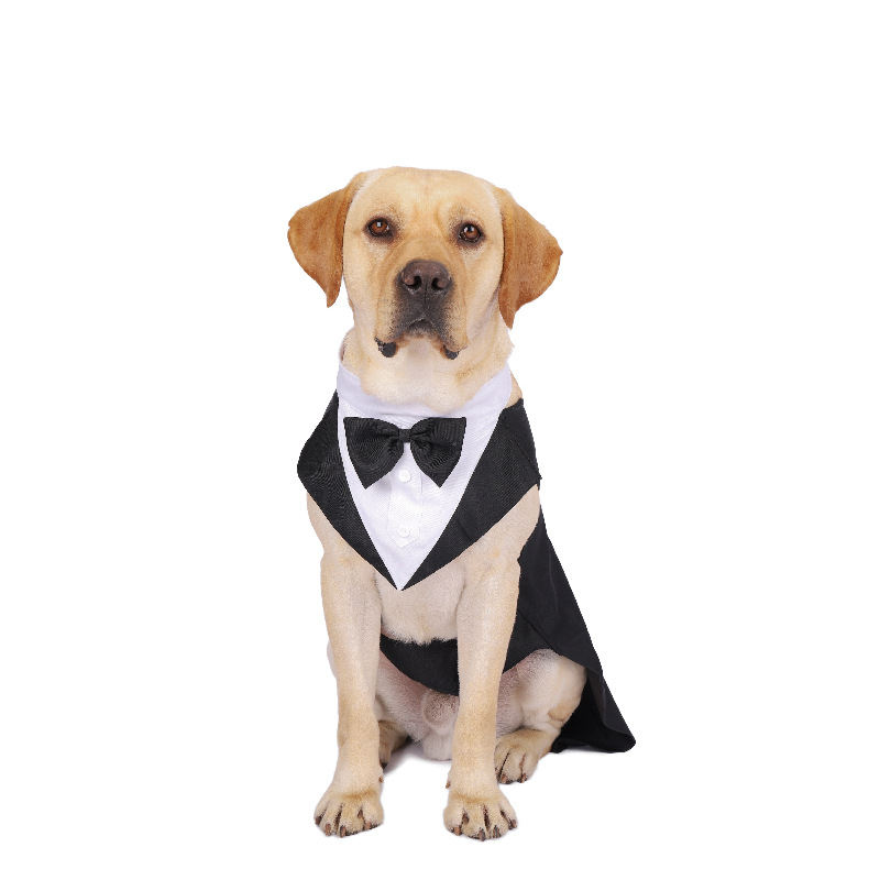 Pet Dog Clothes Fashion Party  - Suit Supply Wedding Party recensione e prezzo