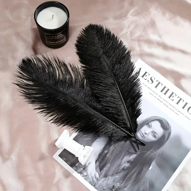 10Pcs Black Ostrich Feathers 1 - Supply Wedding Venue recensione e prezzo