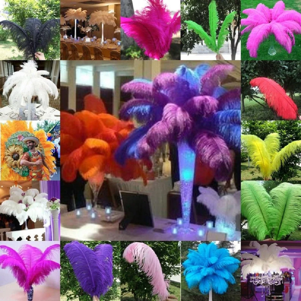 10Pcs Black Ostrich Feathers 1 - Supply Wedding Venue recensione e prezzo