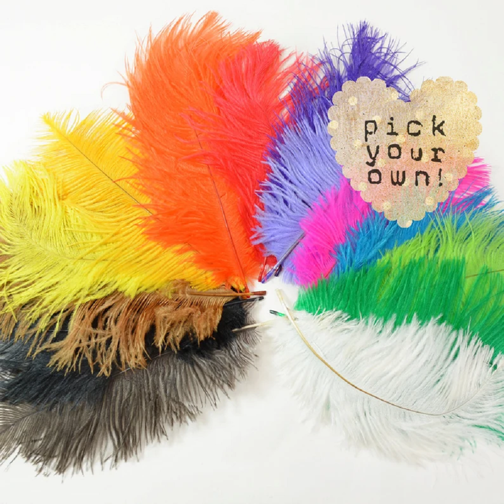 10Pcs Black Ostrich Feathers 1 - Supply Wedding Venue recensione e prezzo