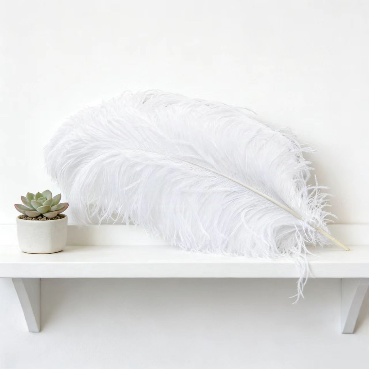 100Pcs White Ostrich Feather W - Wedding Supply Wholesale recensione e prezzo
